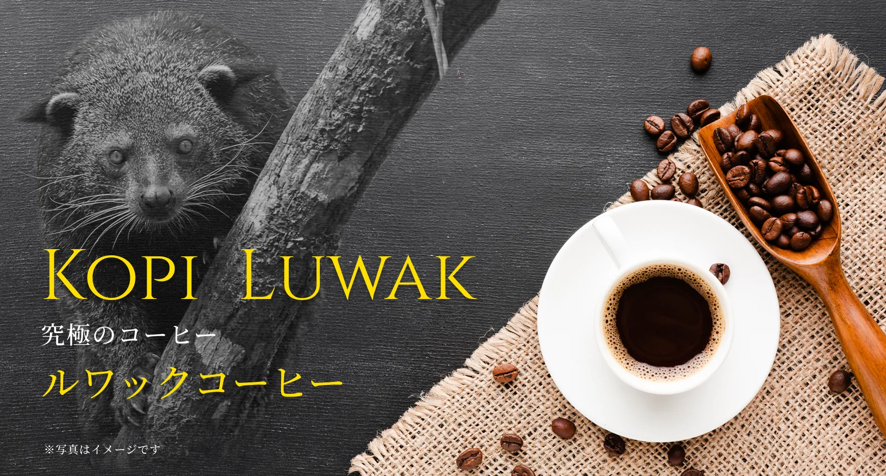 コーヒーの写真