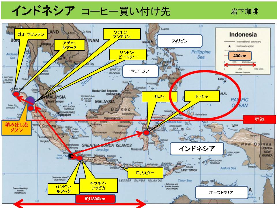 トラジャ豆との出会い お知らせ インドネシア コーヒー豆専門店 岩下珈琲
